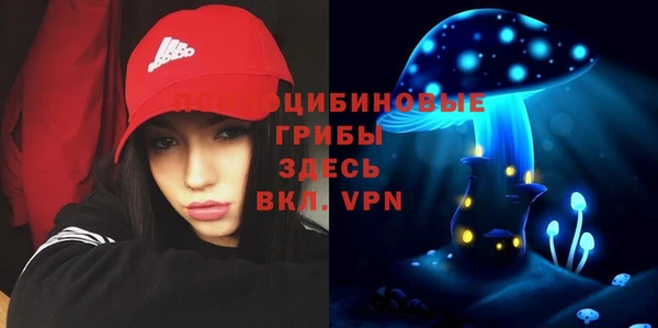дмт Верхний Тагил