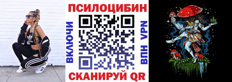 Псилоцибиновые грибы Psilocybine cubensis хочу Юрюзань